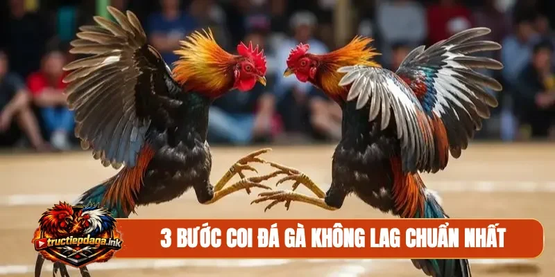 3 bước coi đá gà không lag chuẩn nhất