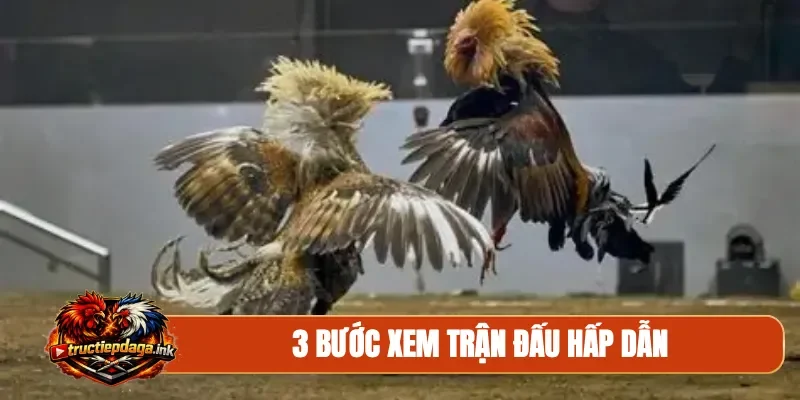 3 bước xem trận đấu hấp dẫn