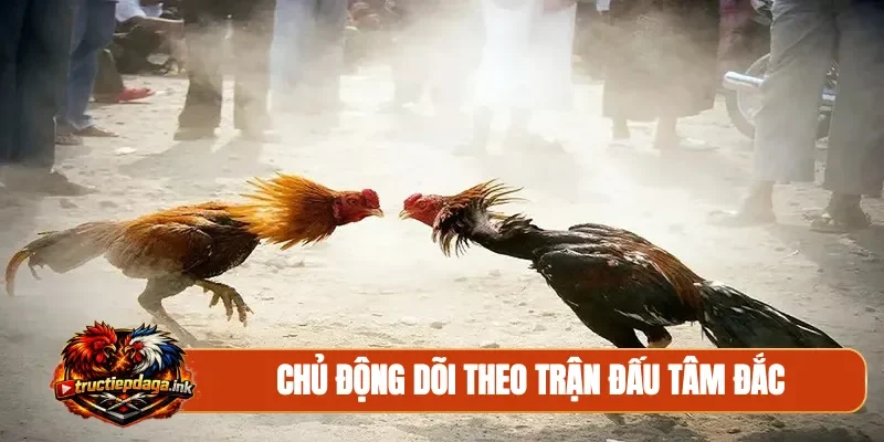 Chủ động dõi theo trận đấu tâm đắc