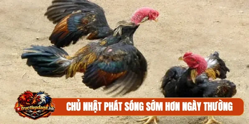 Chủ nhật phát sóng sớm hơn ngày thường