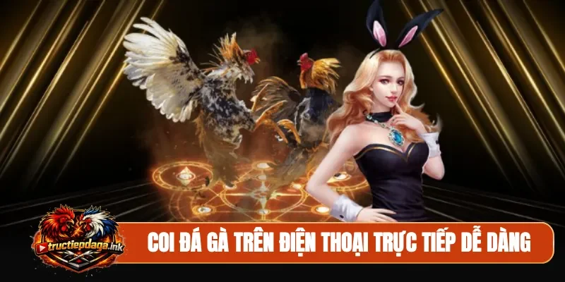 Coi đá gà trên điện thoại