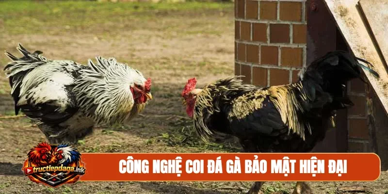 Công nghệ coi đá gà bảo mật hiện đại