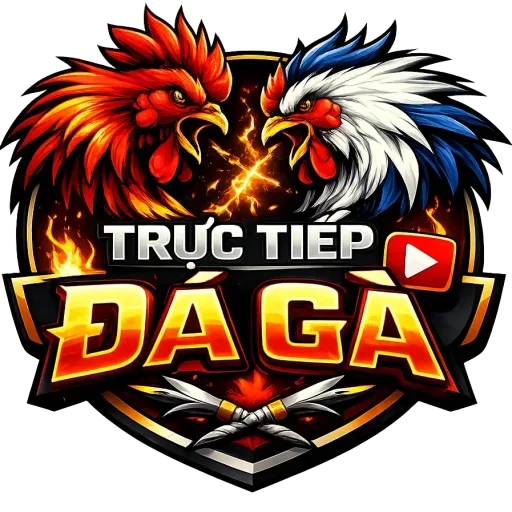 Trực Tiếp Đá Gà Hôm Nay