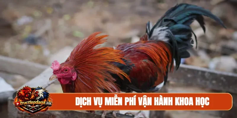 Dịch vụ miễn phí vận hành khoa học