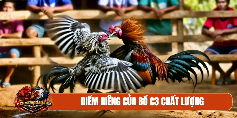 Điểm riêng của bồ C3 chất lượng