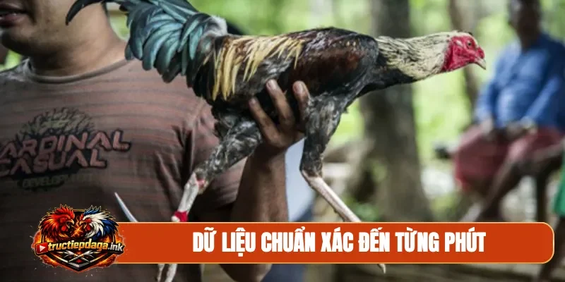 Dữ liệu chuẩn xác đến từng phút