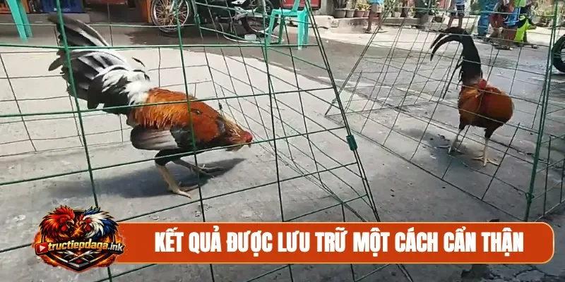 Kết quả được lưu trữ một cách cẩn thận