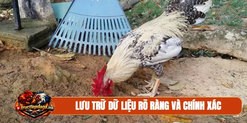 Lưu trữ dữ liệu rõ ràng và chính xác