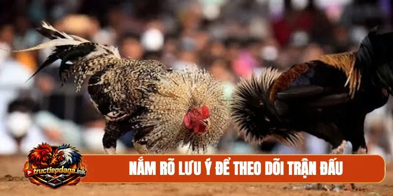 Nắm rõ lưu ý để theo dõi trận đấu
