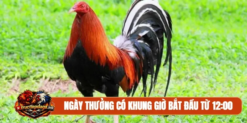 Ngày thưởng có khung giờ bắt đầu từ 12:00