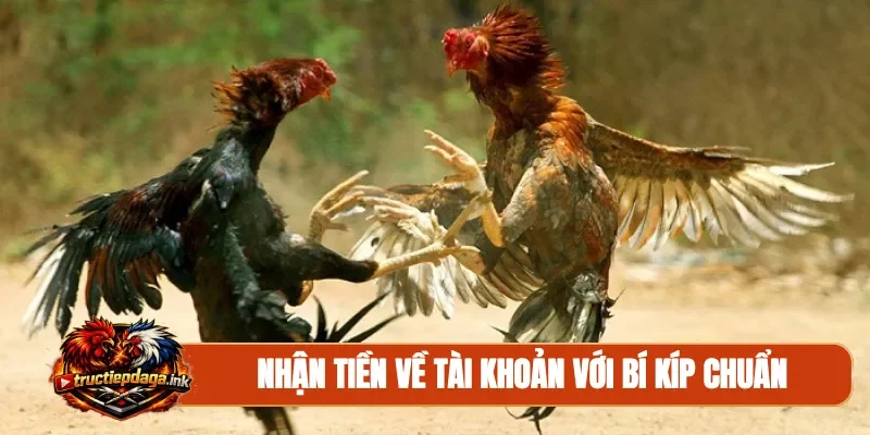 Nhận tiền về tài khoản với bí kíp chuẩn