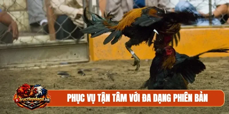Phục vụ tận tâm với đa dạng phiên bản