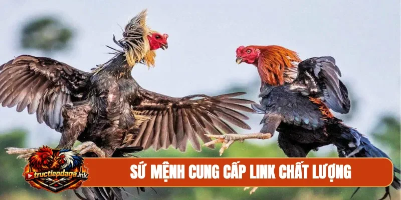 Sứ mệnh cung cấp link chất lượng