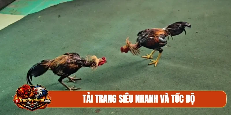 Tải trang siêu nhanh và tốc độ