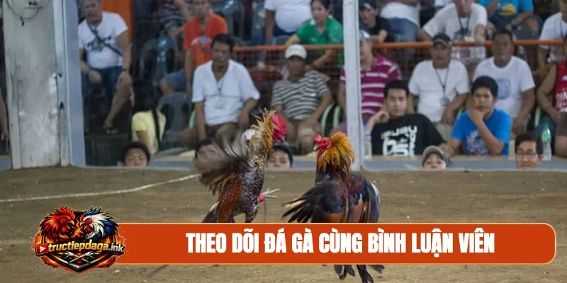 Theo dõi đá gà cùng bình luận viên