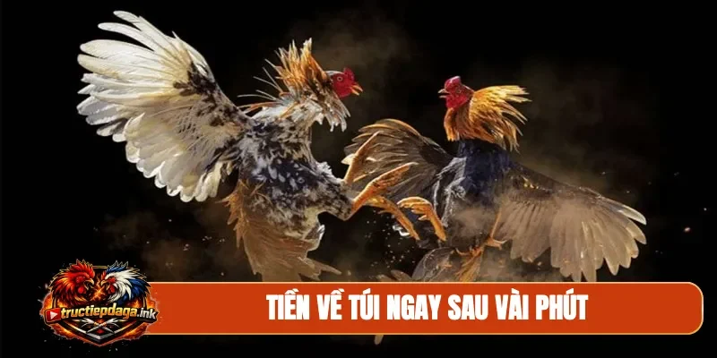 Tiền về túi ngay sau vài phút