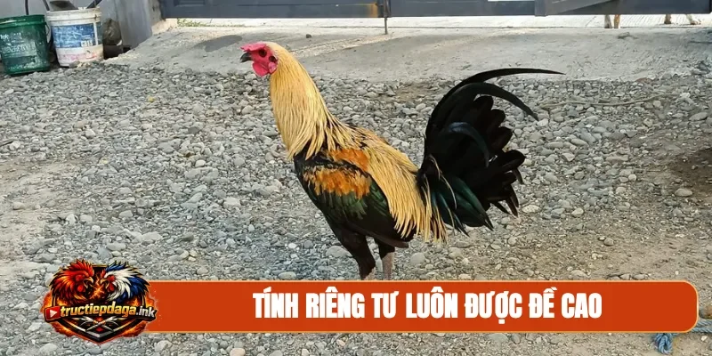 Tính riêng tư luôn được đề cao