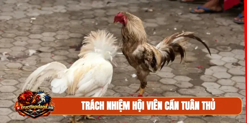 Trách nhiệm hội viên cần tuân thủ
