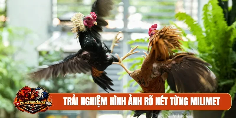 Trải nghiệm hình ảnh rõ nét từng milimet