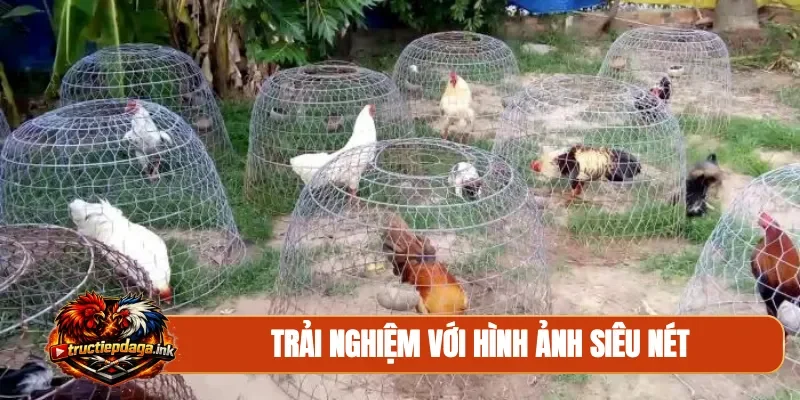 Trải nghiệm với hình ảnh siêu nét