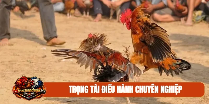 Trọng tài điều hành chuyên nghiệp