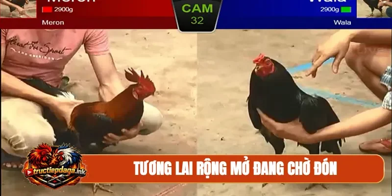 Tương lai rộng mở đang chờ đón