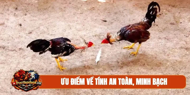 Ưu điểm về tính an toàn, minh bạch