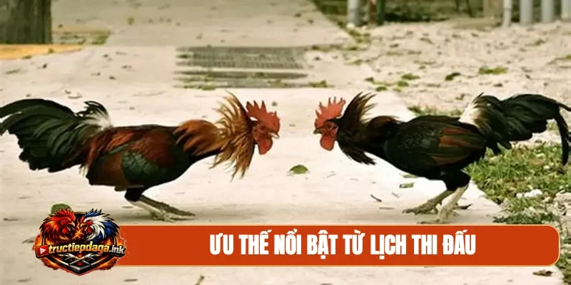 Ưu thế nổi bật từ lịch thi đấu