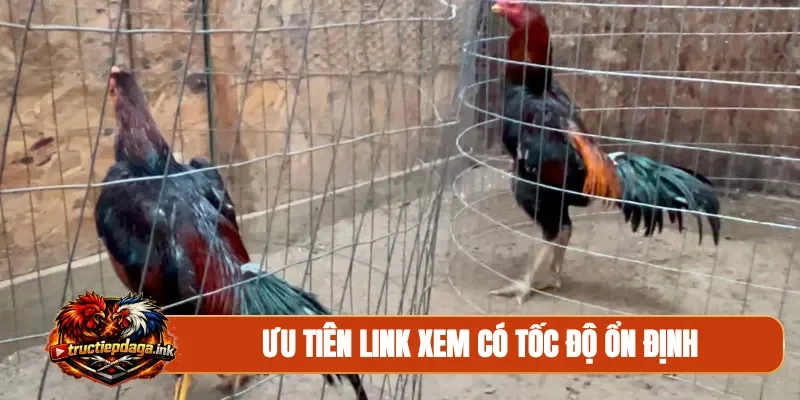 Ưu tiên link xem có tốc độ ổn định